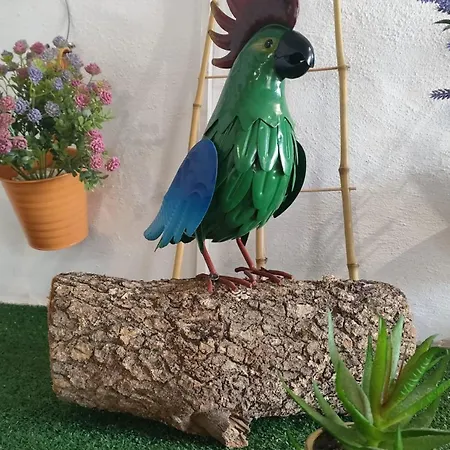 Casa Mayago, Terraza Y Solárium