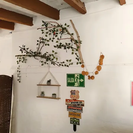 Casa Mayago, Terraza Y Solarium * Pego