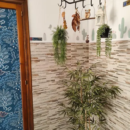 Casa Mayago, Terraza Y Solarium *